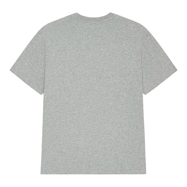 Les Deux NFL DET T-shirt Detroit Lions Grå 