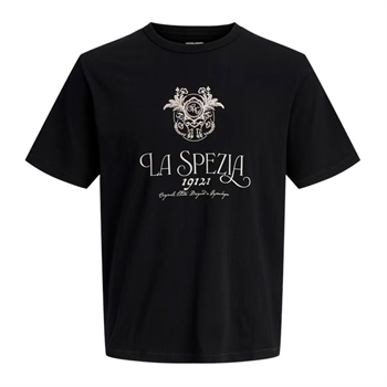 Moderne sort t-shirt med print foran fra Jack & Jones