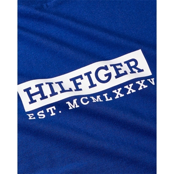 Flot kongeblå t-shirt med print på brystet fra Tommy Hilfiger.