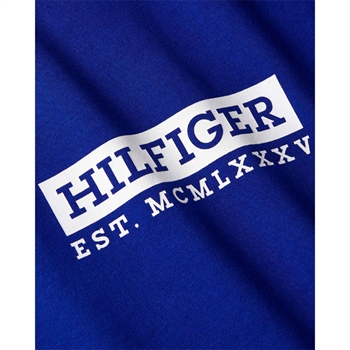 Smart klar blå hoodie med hvidt logo fra Tommy Hilfiger.