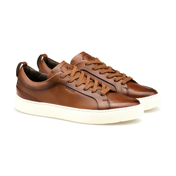 Pæn læder sneaker i brun fra Lloyd