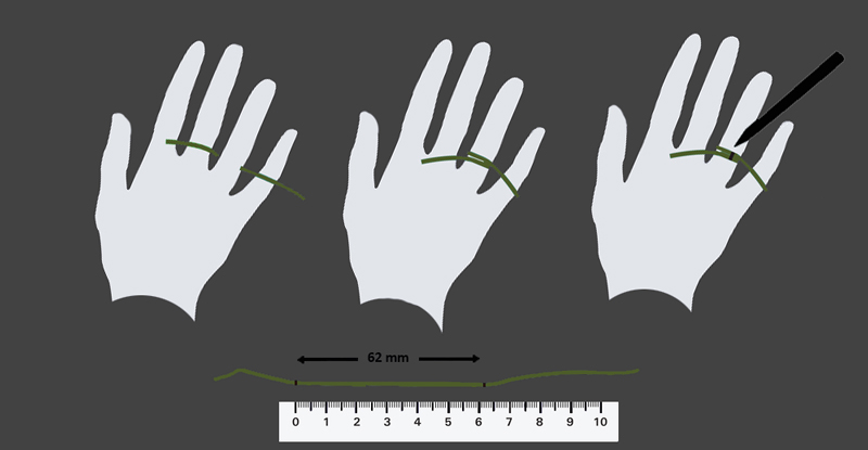 Ring guide målemetode